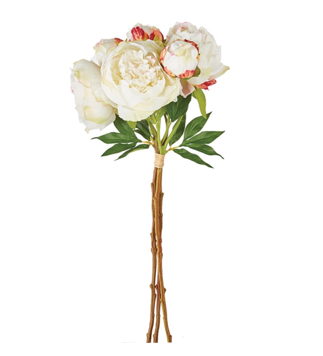 Peony Bundle