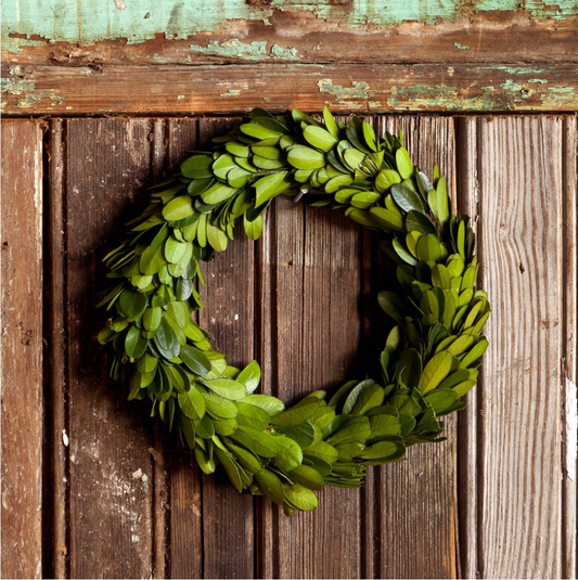 Mini Preserved Boxwood Wreath