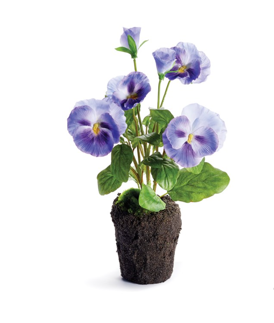 Violet Pansy Drop-in