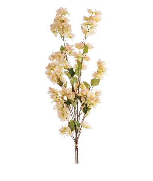 Bougainvillea Stems, Bundle of Two