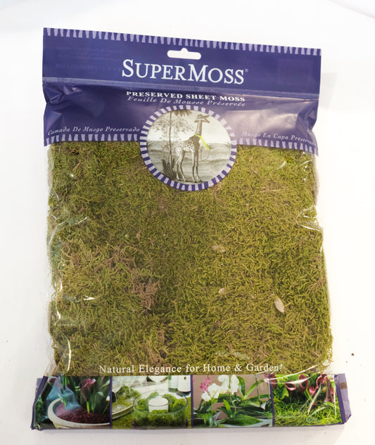 Forest Moss Dried