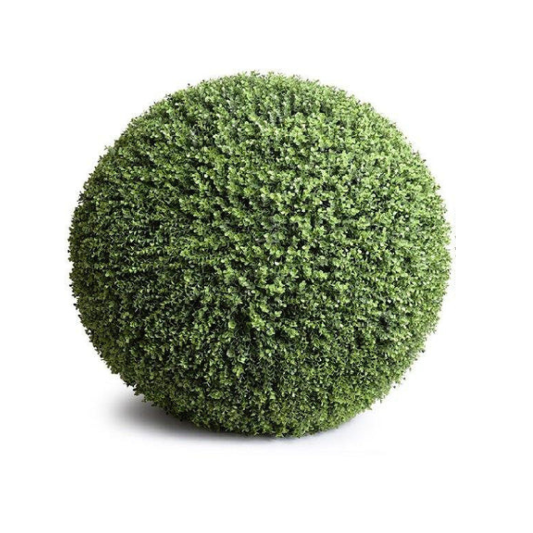 Boxwood Ball for Outdoors