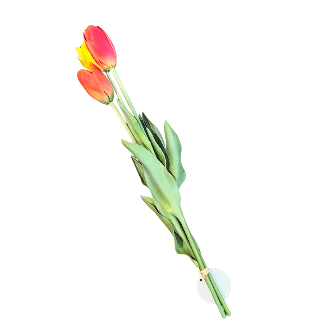 French Tulips 24", Bundle of 3