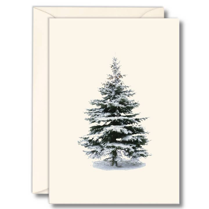 Winter Greenery Boxed Note Cards