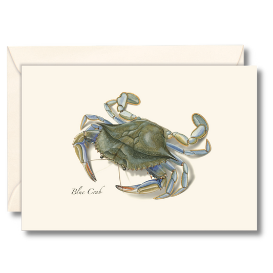 Sea & River Boxed Note Cards - Select Style