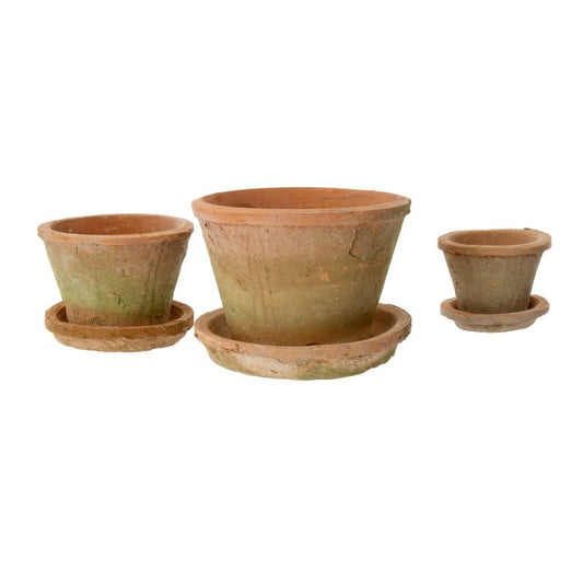 Aged Clay Cactus Pots + Saucers, Antique Redstone, Set of 3 (6 total pieces)