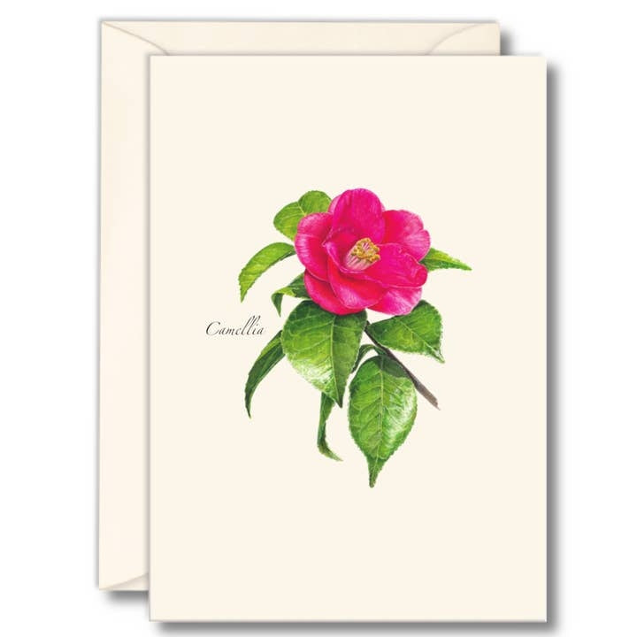 Floral Boxed Note Cards