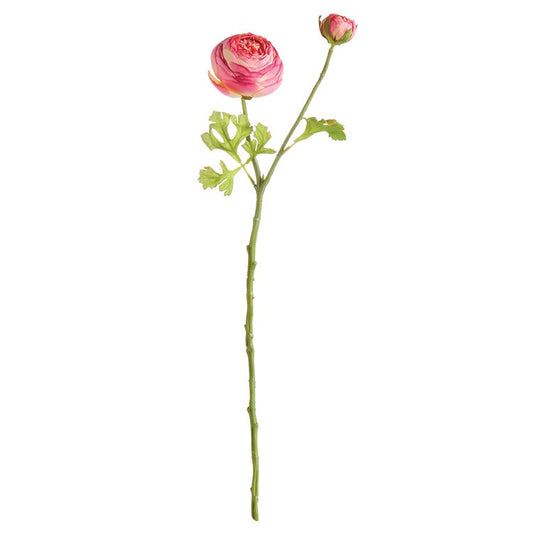 Ranunculus Stem, Pink