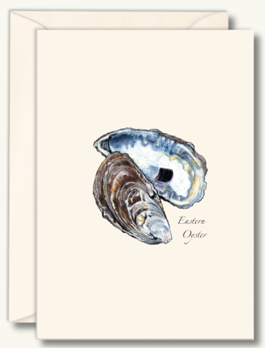 Seashell Boxed Note Cards