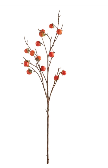 Persimmon Branch 60"