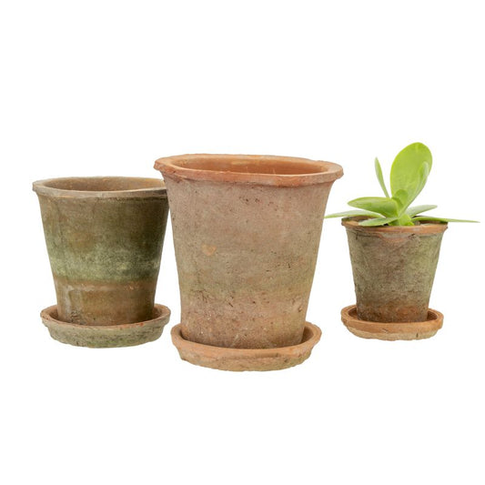 Aged Clay Pots + Saucers, Set of 3