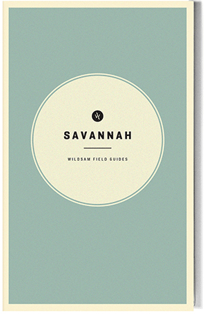 Savannah Wildsam Field Guides