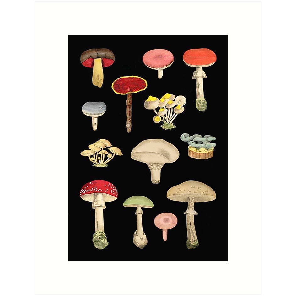 Mushrooms | Blank Card