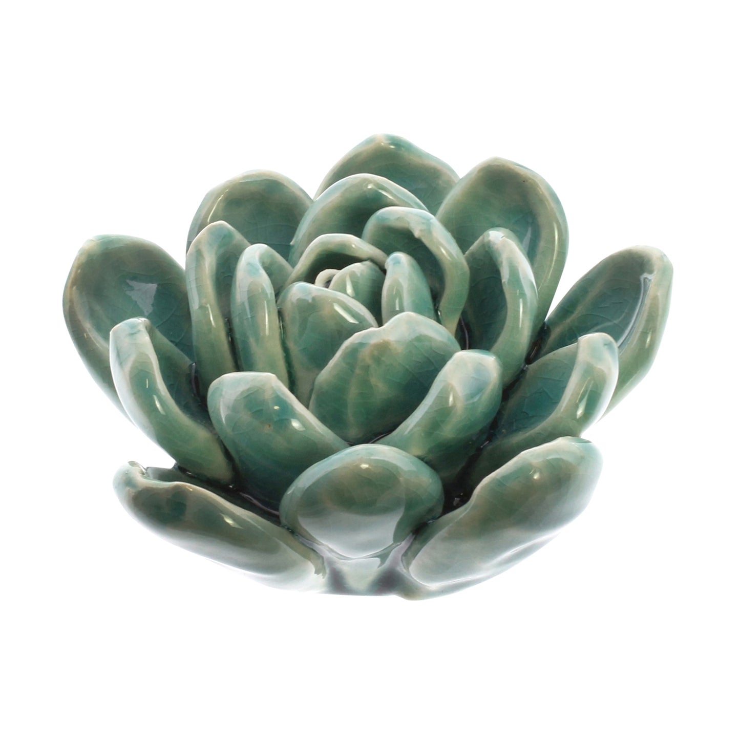 Ceramic Succulent - Medium