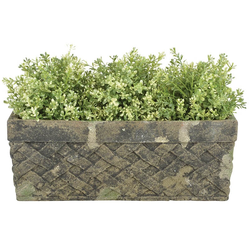 Aged Ceramic Trough Moss, Green