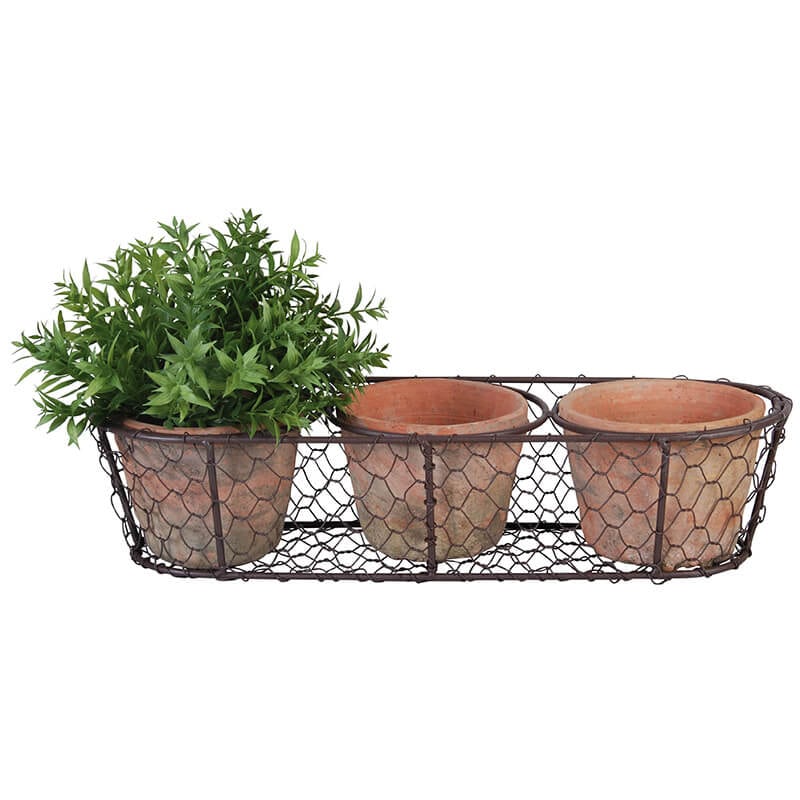 The Aged Terracotta 3 Flower Pots in Metal Basket offer a rustic charm, featuring one pot with a lush green plant and two others ready for their bloom. The vintage allure of the metal basket enhances any space effortlessly.