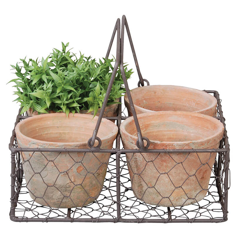 The "Aged Terracotta Pots in Metal Basket w/Handle" contains four terracotta pots, presenting a Tuscan-inspired design with three empty pots and one flourishing with green leafy plants. This charming arrangement, complete with a sturdy metal handle, is set against a crisp white background.