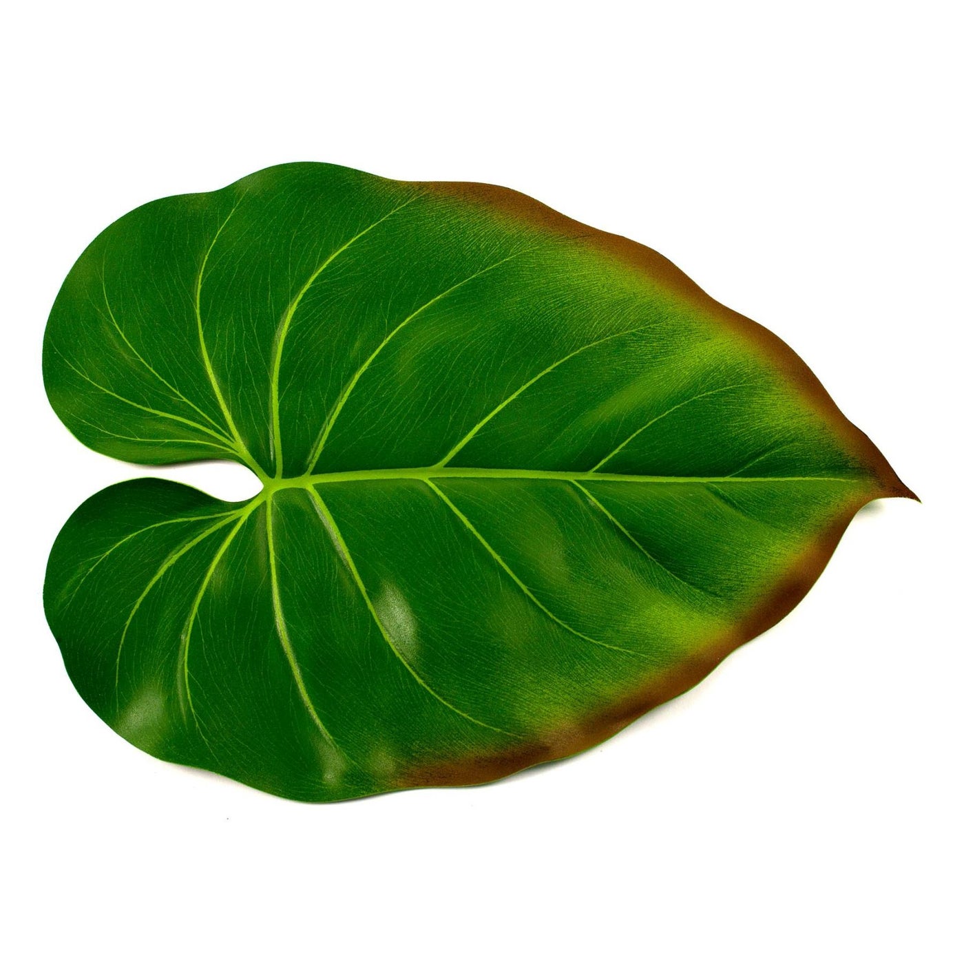 BaliHai Placemat (philodendron), Set of 4