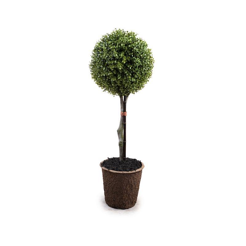 Boxwood Ball Topiary