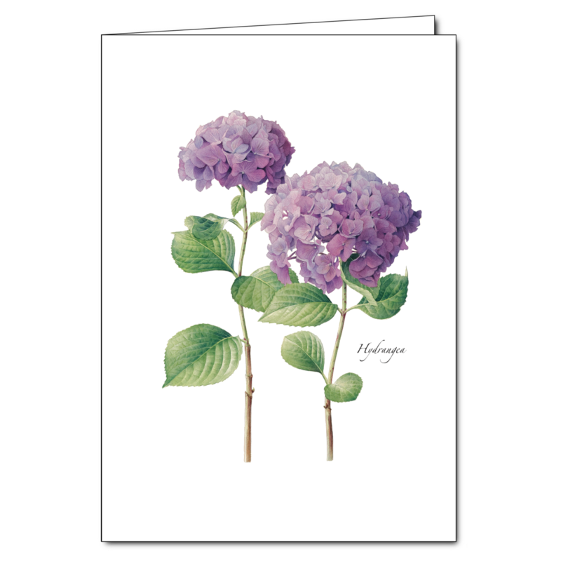 Floral Boxed Note Cards