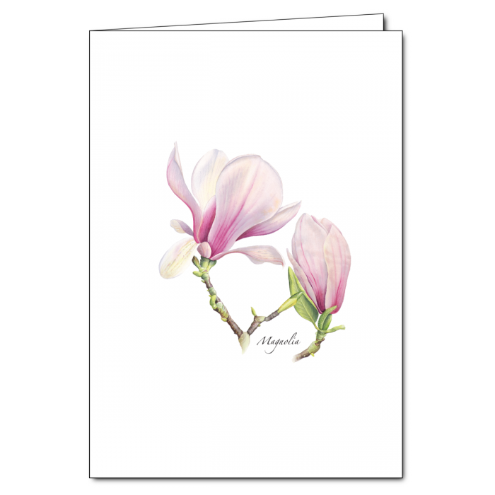 Floral Boxed Note Cards