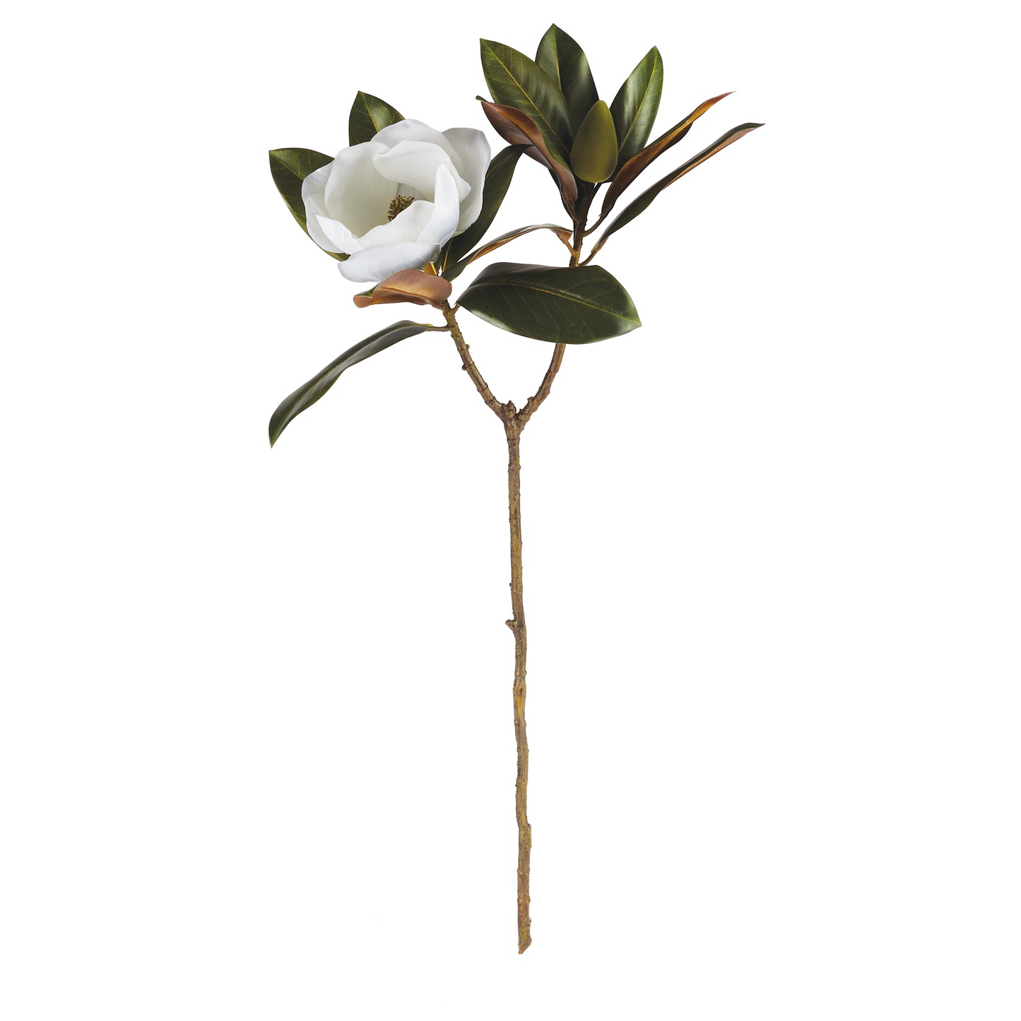 Magnolia Stem 31"H