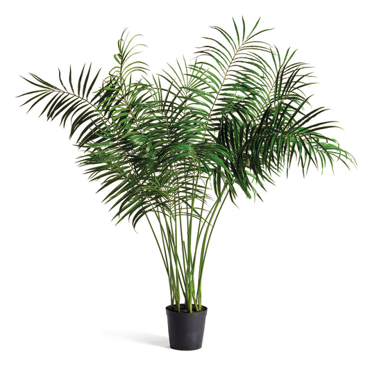 Palm Tree Potted 76"H