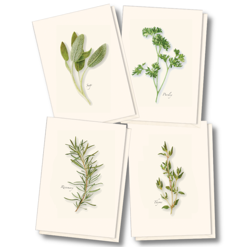 Greenery Boxed Note Cards