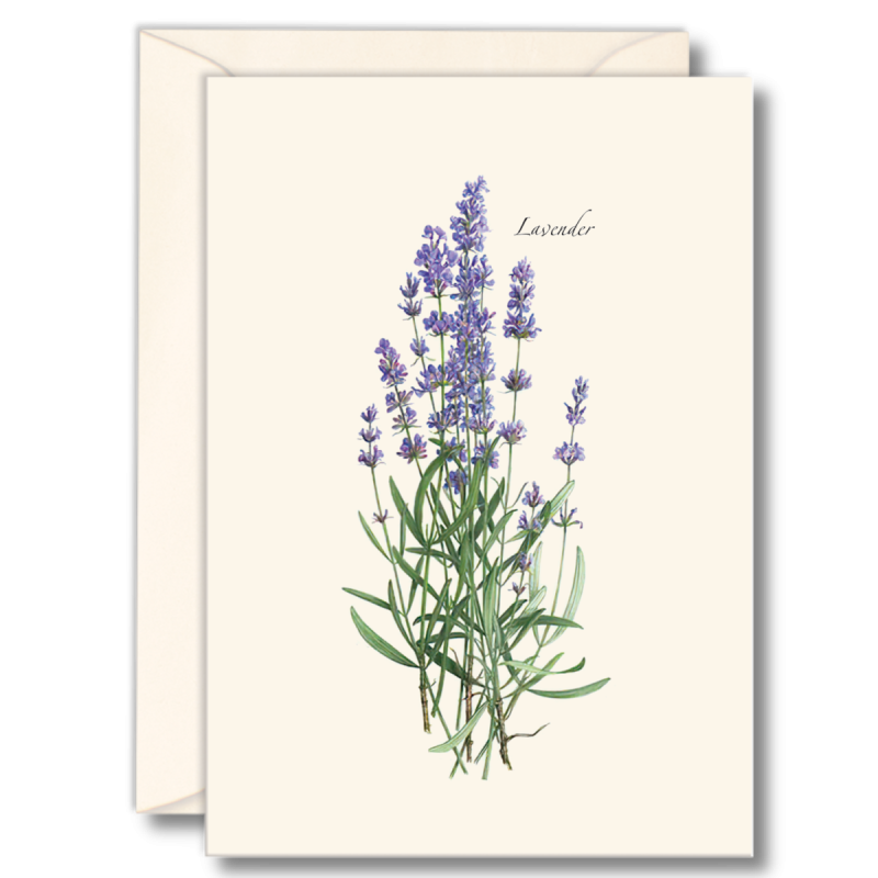 Floral Boxed Note Cards