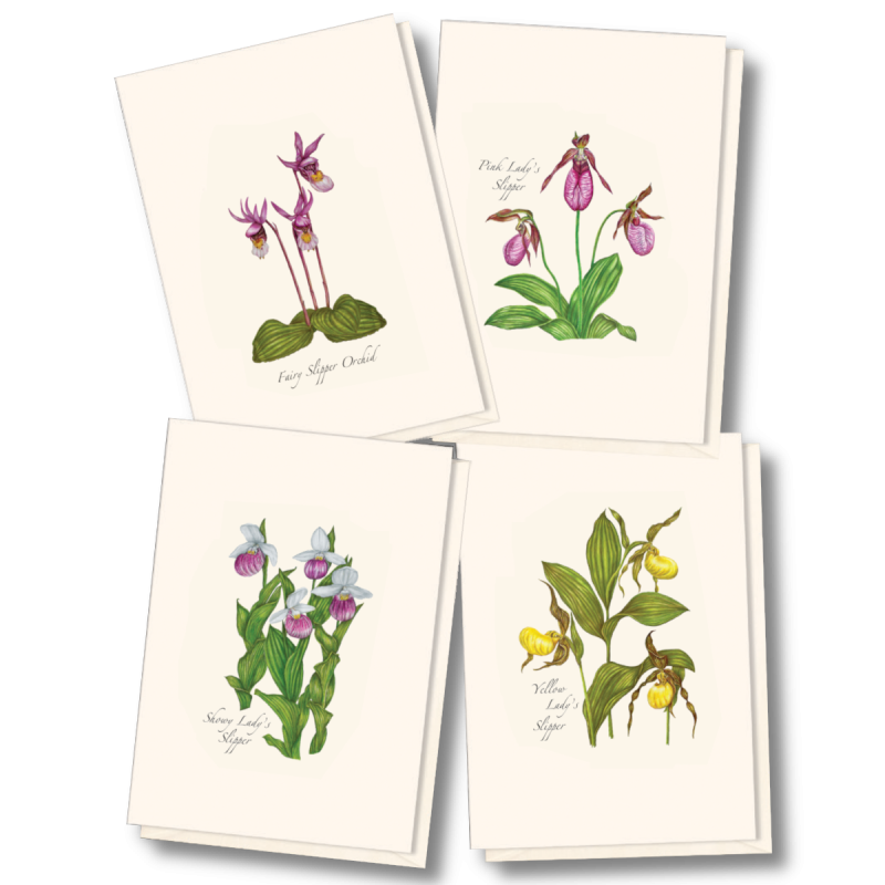 Floral & Botanical Boxed Note Cards - Select Style
