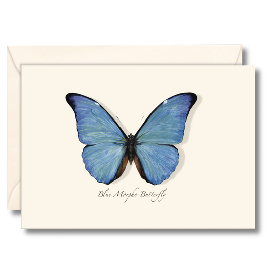 Winged Boxed Note Cards
