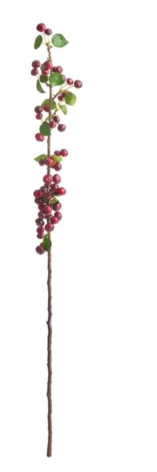 Crabapple Branch