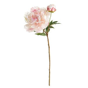 Peony Stem, Pink