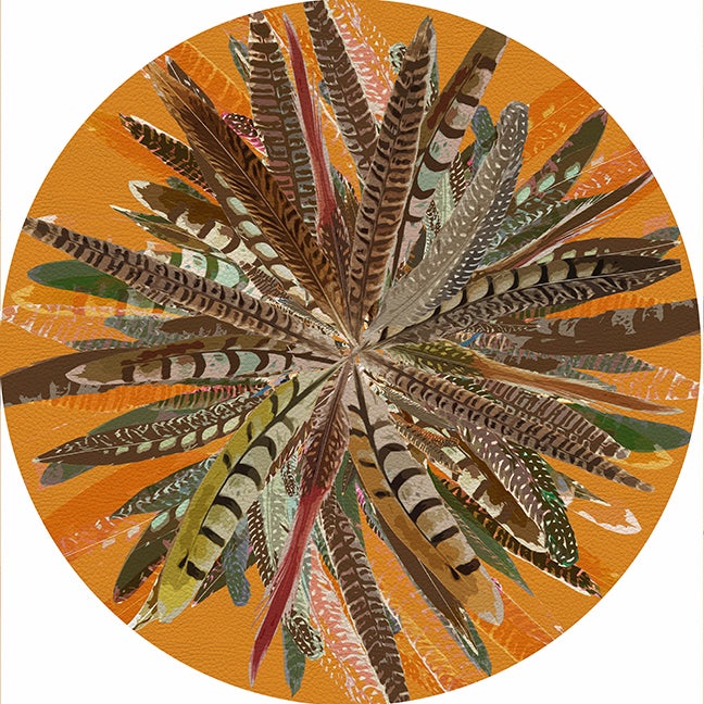 Pheasant Feathers Butternut Round Pebble Placemat Set of 4